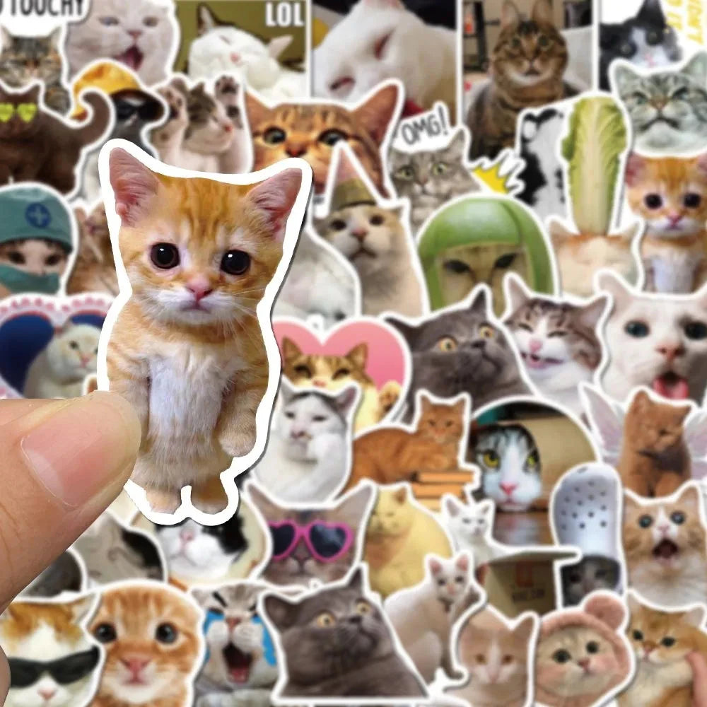 10/30/50pcs Funny Cute Cat MEME Animals Stickers Kawaii Aesthetic Decals Laptop Phone Notebook Decoration Scrapbooking Sticker