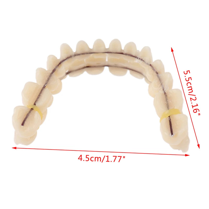 1PC Universal Resi False Teeth Resin Model Durable Dentures Dental Material Teeth Teaching Model Dedicated Teeth