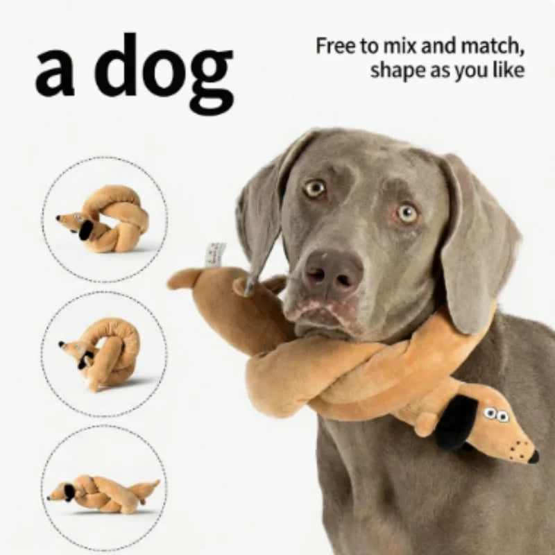 Snail shaped dog and cat toys, pet products, pet supplies, mats to hide food odors, training puzzles, and fun sniffing toys