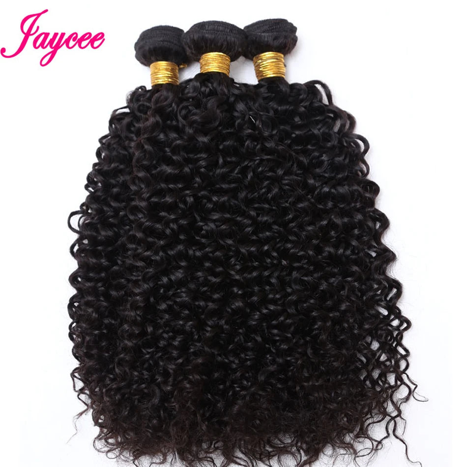15A Brazilian Wet and Wavy Bundles Virgin Human Hair Weave 4 Bundle Deals Afro Kinky Curly Hair Extension Cheveux Humain Bundles